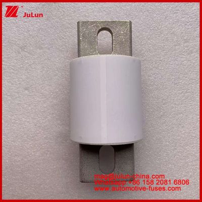 Penggerak Daya Sistem Daya Keramik Auto Fuse RS309-MD 600A 500VAC 200KA 500VDC 50KA AR Kendaraan Listrik Tubular 30-800A