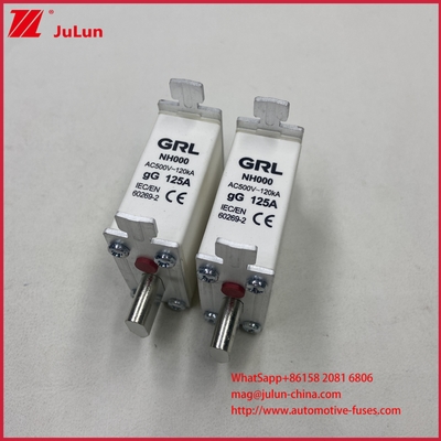 160A, 200A, 250A, 315A, 400A, NT000, NT00, NT0, NT1, NT2, NT3, NT4 Blade Fuse Link And Fuse Base 500V AC 10A ~ 100A, 125A, 500A 630A