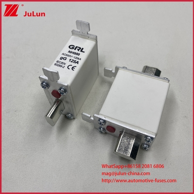 225A 160A 125A NT000/NH000 125A Tautan Sekering/pemegang Sekering Bilah Sekering Keramik Porselen Basis Sekering