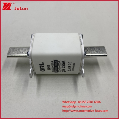 NH000 NT000 300A 225A 500V 120kA Sekering Kapasitas Pemutusan Tinggi Tautan Sekering dengan Bilah Kontaktor Pisau GG-gL