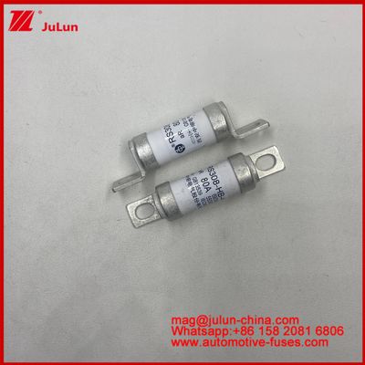 Screw Bolt RS308-HB-4G 20A 60A Fuse Keramik Otomotif untuk Aplikasi Tegangan hingga AC690V/DC550V