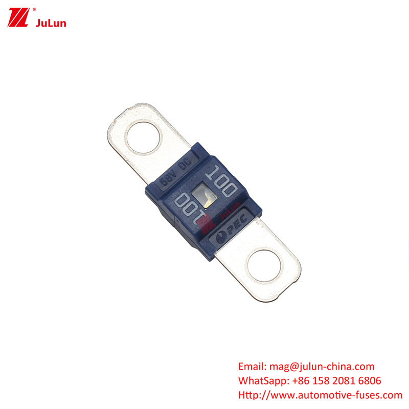 250A300A Fuse Kendaraan Listrik ANS ANL Keamanan Nikel Lapisan Bolt Cangkang Kecil Perlindungan Tekanan Rendah 30A 80A