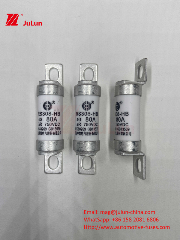 Fuse Kendaraan Listrik EV Untuk DC750V Fuse DC750V 10A 15A 20A 25A 30A Untuk Aplikasi Mobil RS308