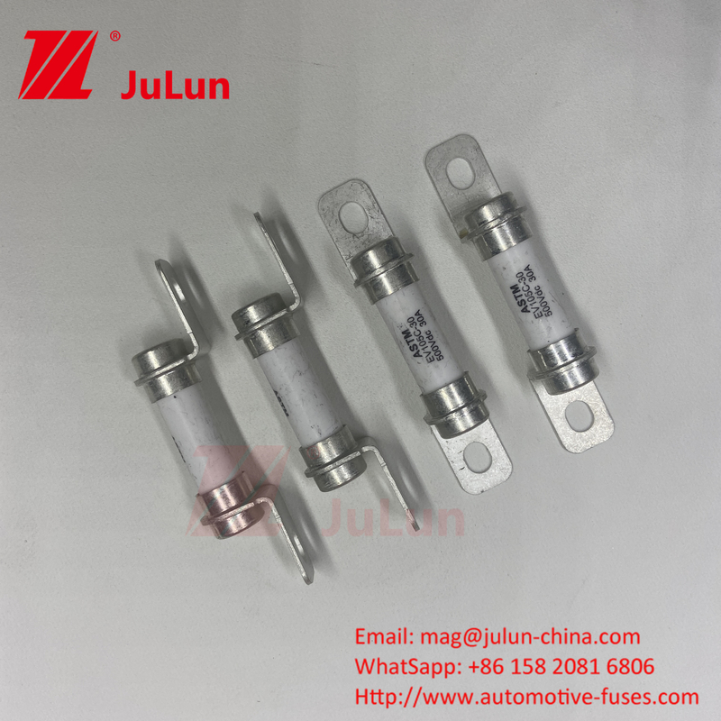 50A 40A 30A Fuse Kendaraan Listrik Murni Sistem Konversi Daya Kendaraan Listrik Dengan M6 Bolted