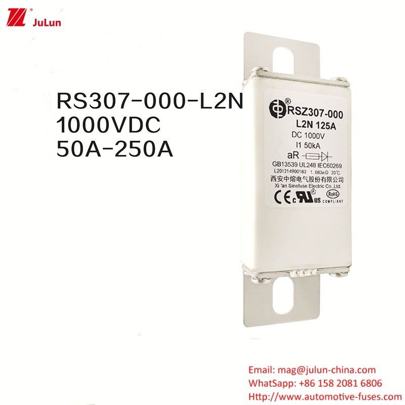 100A Bolt On Ev Dc Fast Charger / Kendaraan Listrik Fast Charging RSZ307-000-L2N Fuse