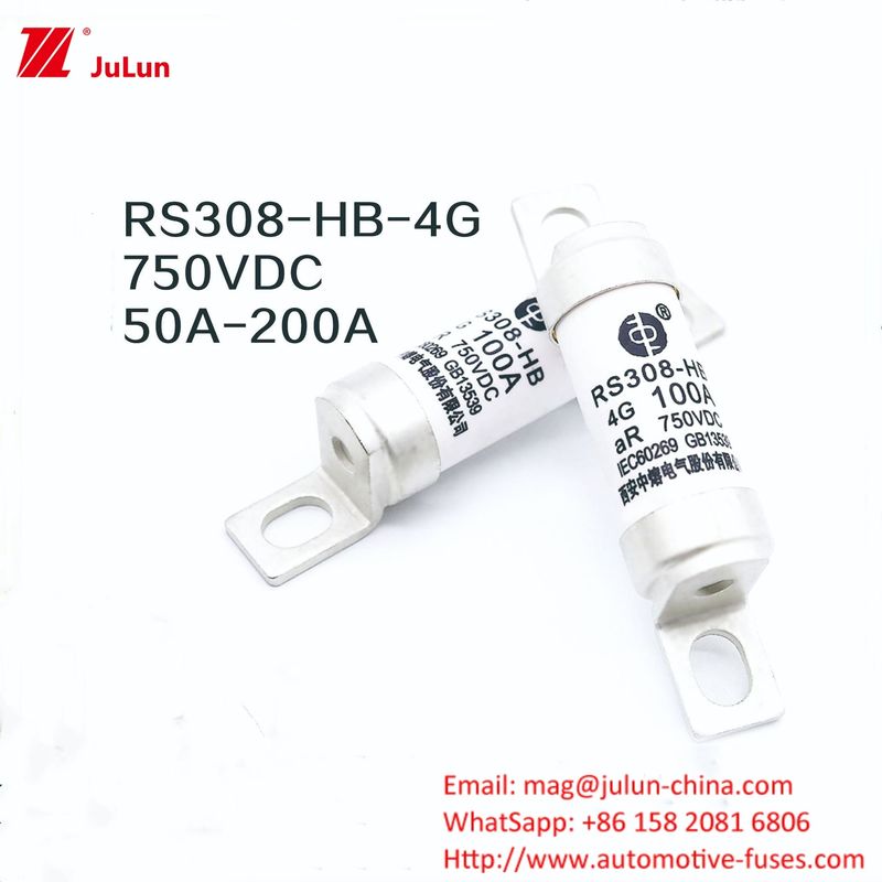 Ev Charger Adapter RS308-HB4G Series 32A 63A 100A Mini Fuses Untuk Mobil