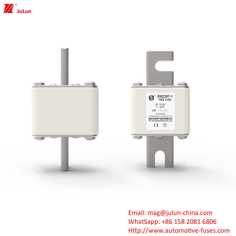 RSZ307-1-TMZ Daya Listrik DC Car Charger Adapter dengan Bolt on Fuses Aplikasi industri penyimpanan energi
