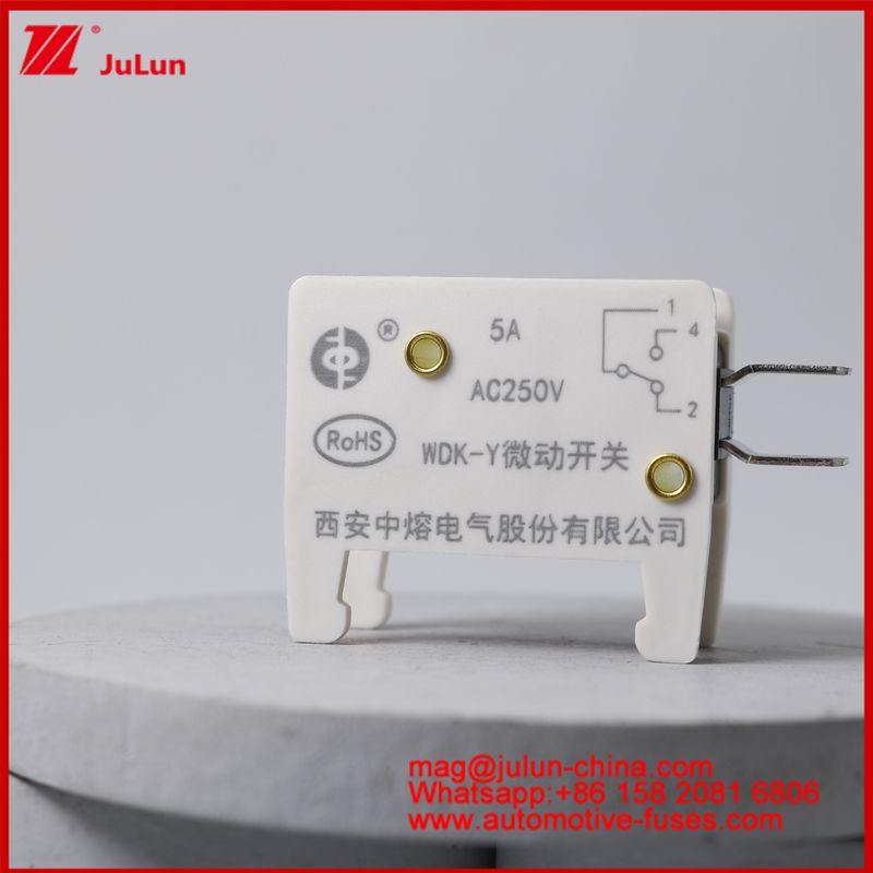 WDK-Y 5A 250V Micro Switch Mobil Mount Fuse Untuk EV / HEV Kendaraan Khusus Dirancang Fuse Base Untuk Kendaraan Situasi