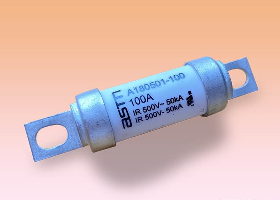 Fast Acting 100 Amp Car Fuse 500v Ac Voltage Warna Putih Untuk Elektronika