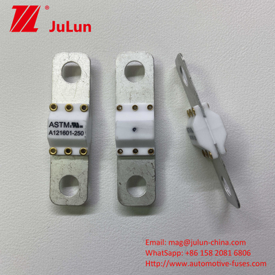 100A Alat pengisi daya EV portabel Perlindungan kebakaran High Break Short Circuit Protection Fuse