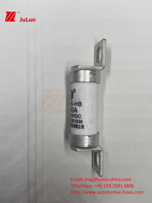 63A RS308 HB Fuse Bolted Mounting 80A 10A 15A 40A Fuse Keramik Otomotif Dengan Mounting Bolt