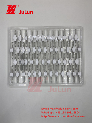 Keramik Otomotif ASTM A121601 Fuse Kendaraan Listrik 300A 125VDC Pengisian Energi Penyimpanan