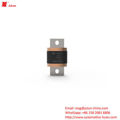 EV8-MKM 450A-1000A DC500V Boxed Safety Fuse Untuk Terminal Kendaraan Listrik