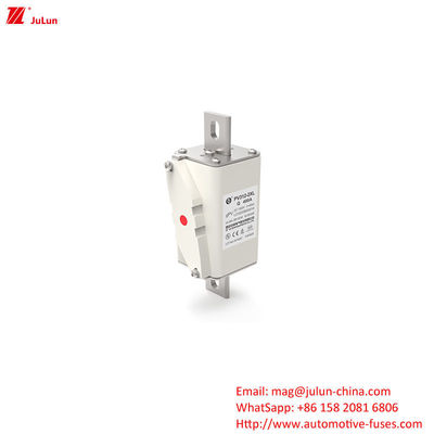 Panel Mount TUV CE dengan arus masuk maksimum 400A DC