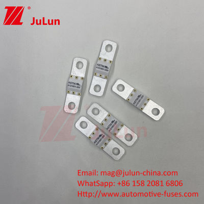 Fuse ASTM 121601 80A 125VDC untuk mobil listrik
