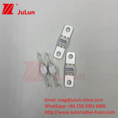 125VDC 300A ASTM Kendaraan listrik Fast Charging / Ev Dc Fast Charger Fuse Dengan Proteksi Sekrup Bolt