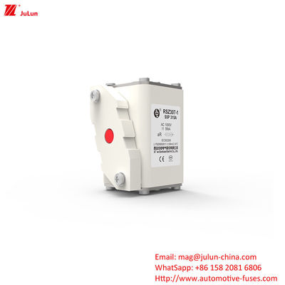 315A AC1000V Portable EV Charger Fuse Mobil Dengan Kapasitas Patah Tinggi