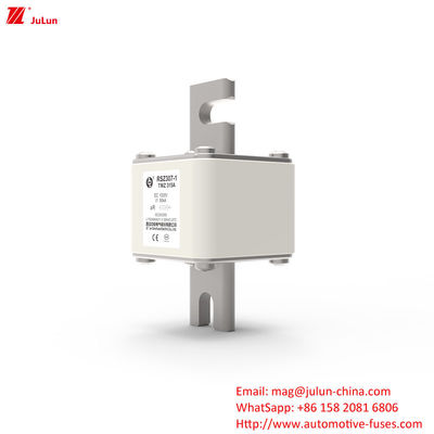 315A DC250V Portable EV Charger Fuse Solusi Utama Untuk Pemilik EV