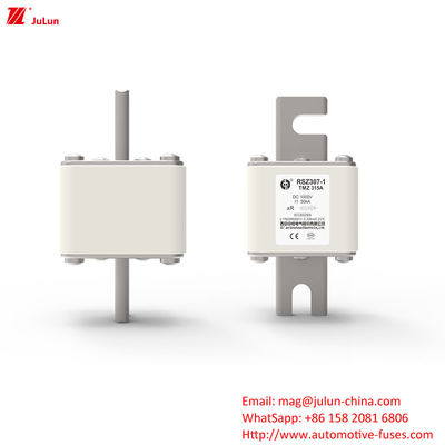 RSZ307-1-TMZ Daya Listrik DC Car Charger Adapter dengan Bolt on Fuses Aplikasi industri penyimpanan energi
