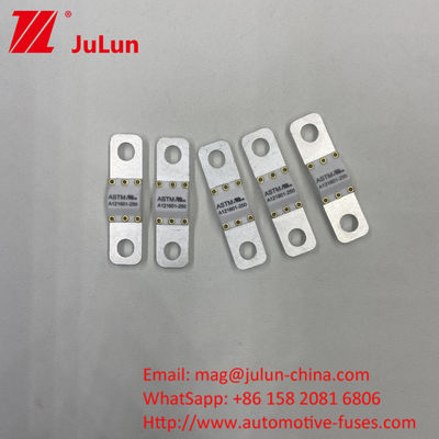 125 VDC Mobil Baterai Pengisi Daya Sekring A121601-300A Baterai Energi Storage Sepeda motor