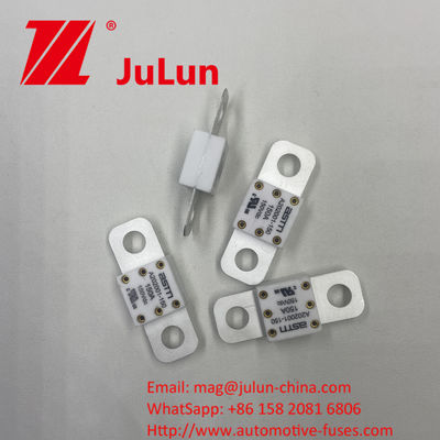 ASTM A202001-250A 150VDC High Current Rating Ceramic Vehicle Fuses untuk perlindungan sirkuit pendek