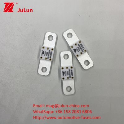ASTM Fuse Kendaraan Listrik A202008 300A Fuse 125VDC Terminal Type AC Ev Charger Adapter Kompatibel Dengan Kapasitas Pemutus 20KA