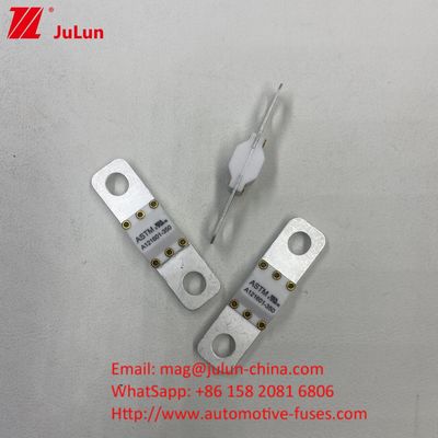 300A 125VDC Fuse Keramik Otomotif Kapasitas Patah Tinggi untuk Konversi Daya