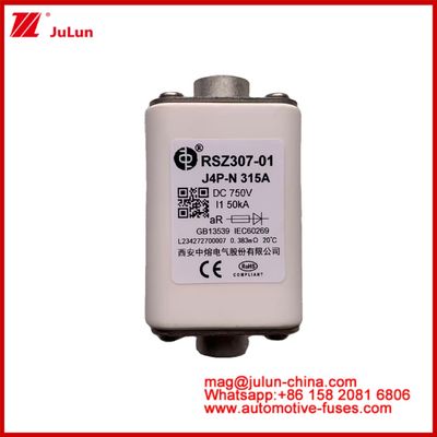 RSZ307-01 Keramik persegi J4P-N 315A 750VDC 50KA Pengisi daya Kabel Perangkat Otomotif Peralatan Jenis sambungan baut