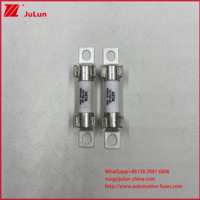 AC Ev Charger Adapter Fuse Kompatibel Dengan DC500V / 20KA Rated Voltage Ukuran Kecil