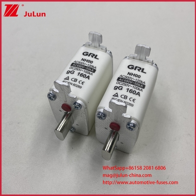 160A, 200A, 250A, 315A, 400A, NT000, NT00, NT0, NT1, NT2, NT3, NT4 Blade Fuse Link And Fuse Base 500V AC 10A ~ 100A, 125A, 500A 630A